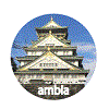 ambia交流